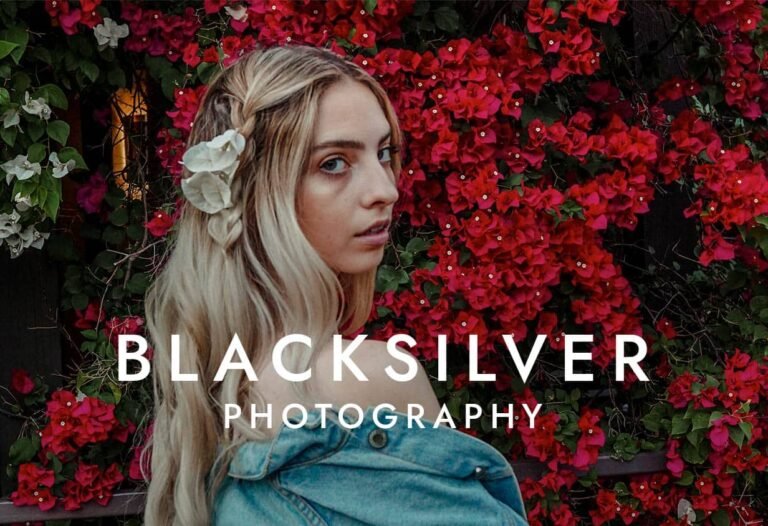 Blacksilver WordPress Theme
