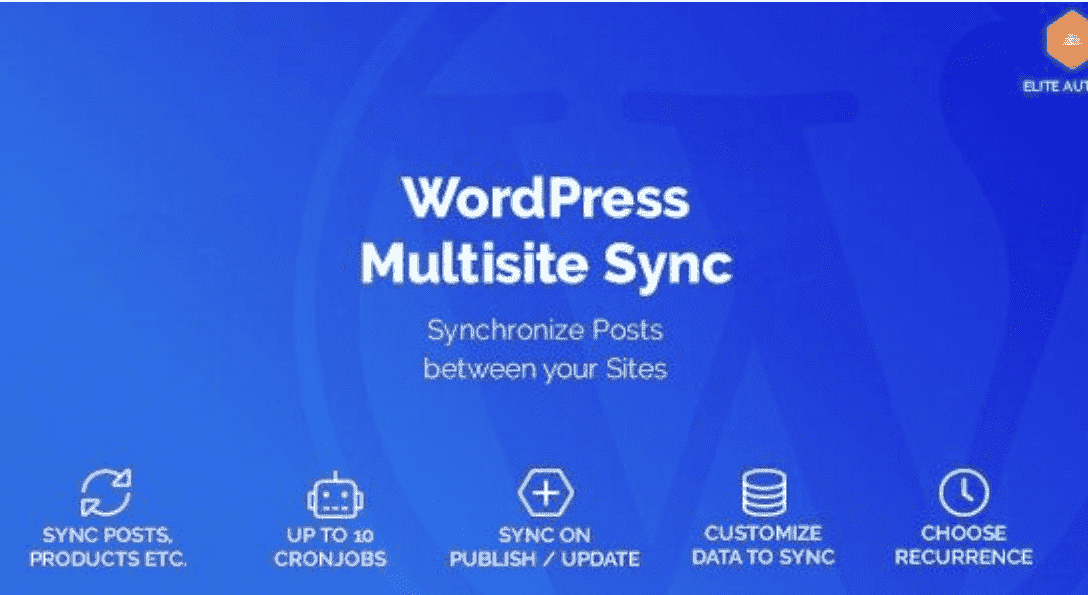 WordPress Multisite Sync