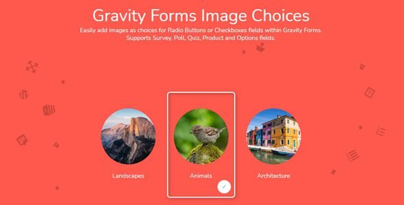 Gravity Forms Image Choices