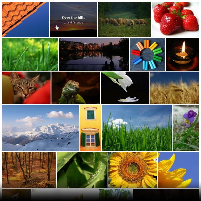 Justified Image Grid - Premium WordPress Gallery