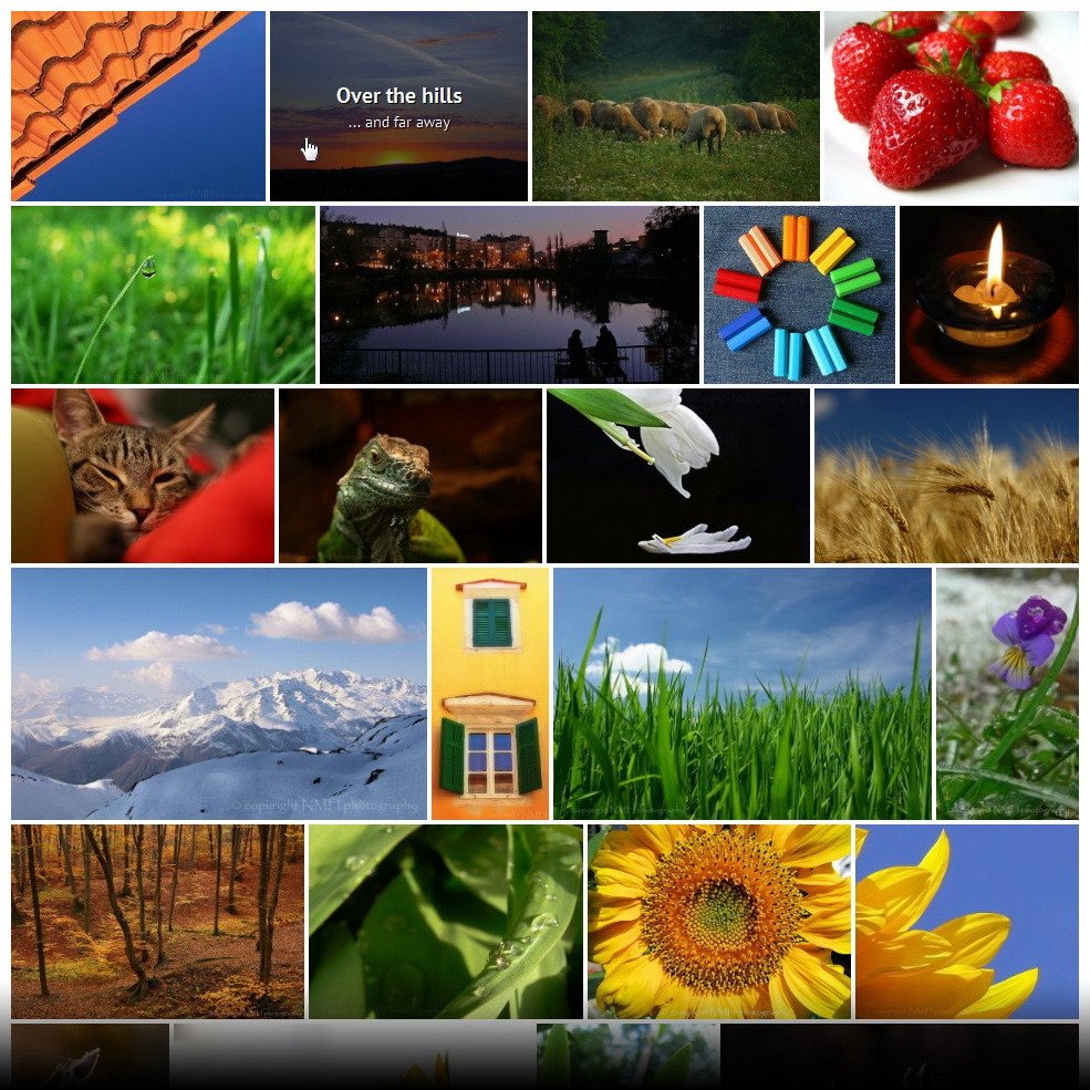 Justified Image Grid - Premium WordPress Gallery