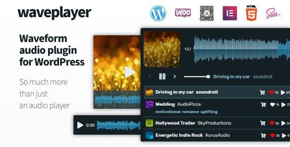 WavePlayer