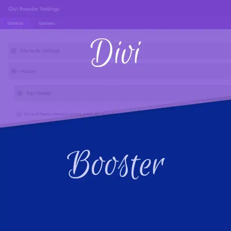 Divi Booster