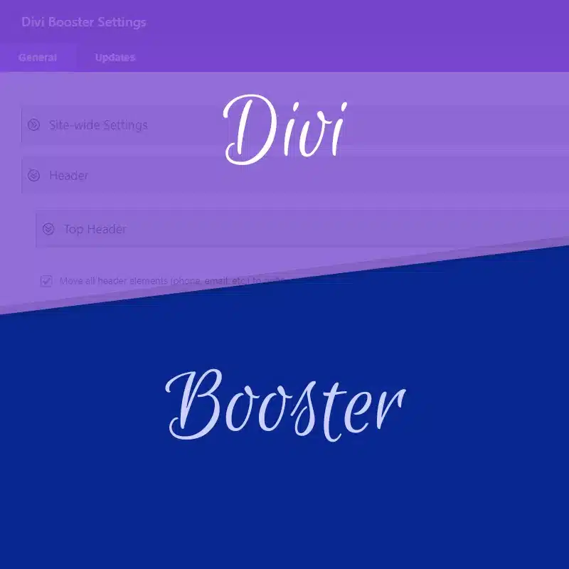 Divi Booster