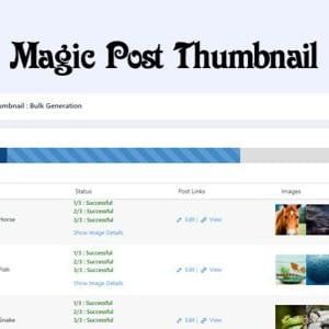 Magic Post Thumbnail