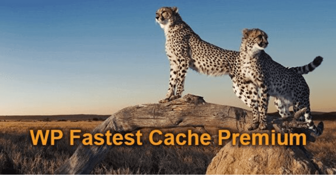 WP Fastest Cache
