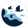 WP Migrate DB Pro