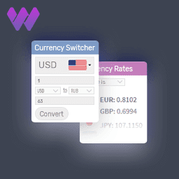 Currency Switcher Pro