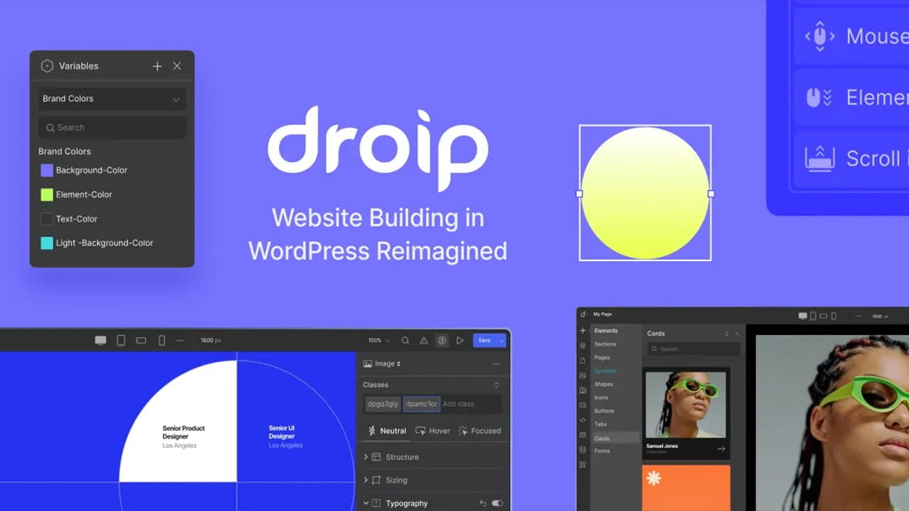 Droip