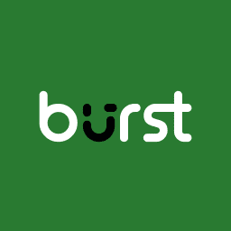Burst Statistics Pro