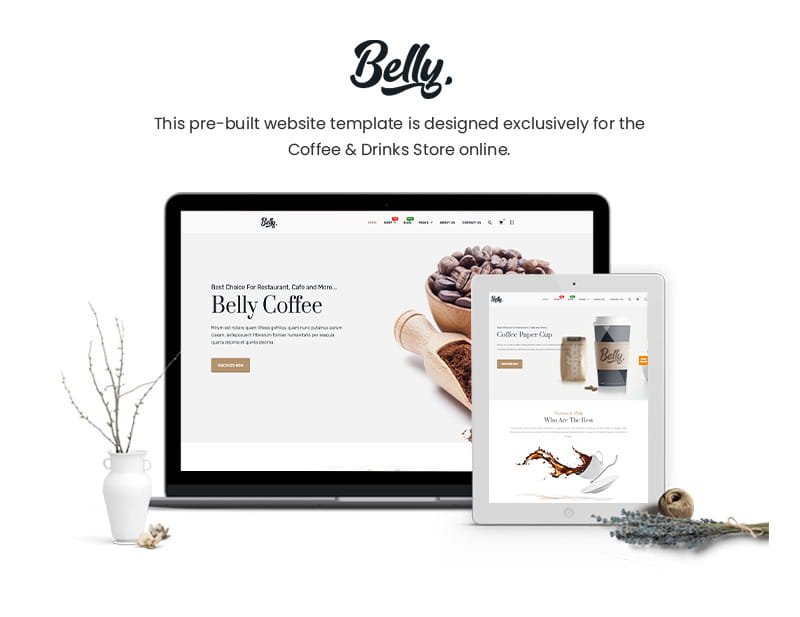 Belly WordPress Theme ZamPC