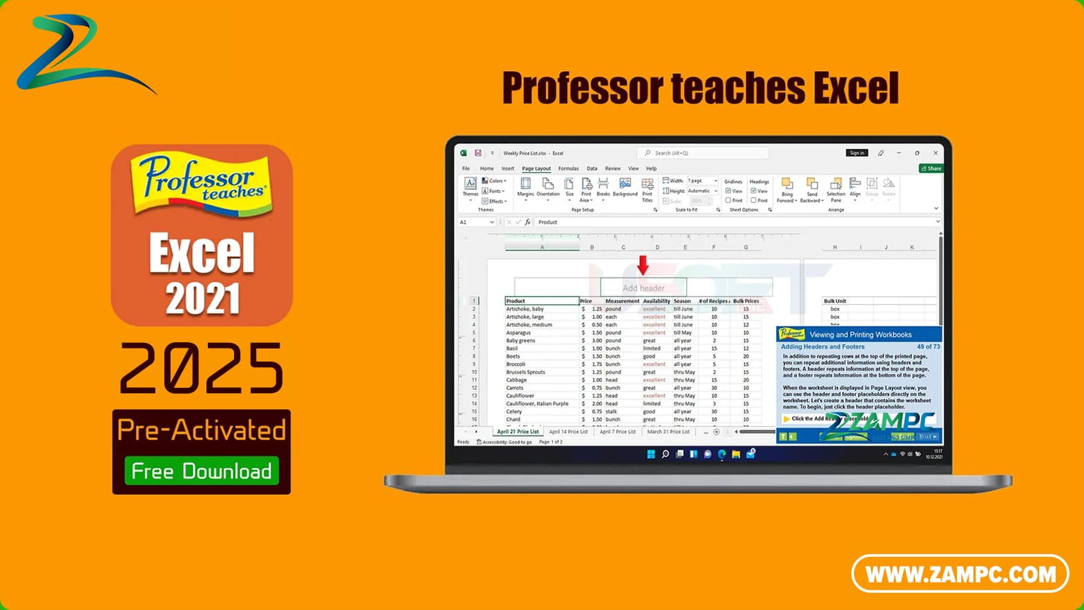 Professor teaches Excel ZamPC