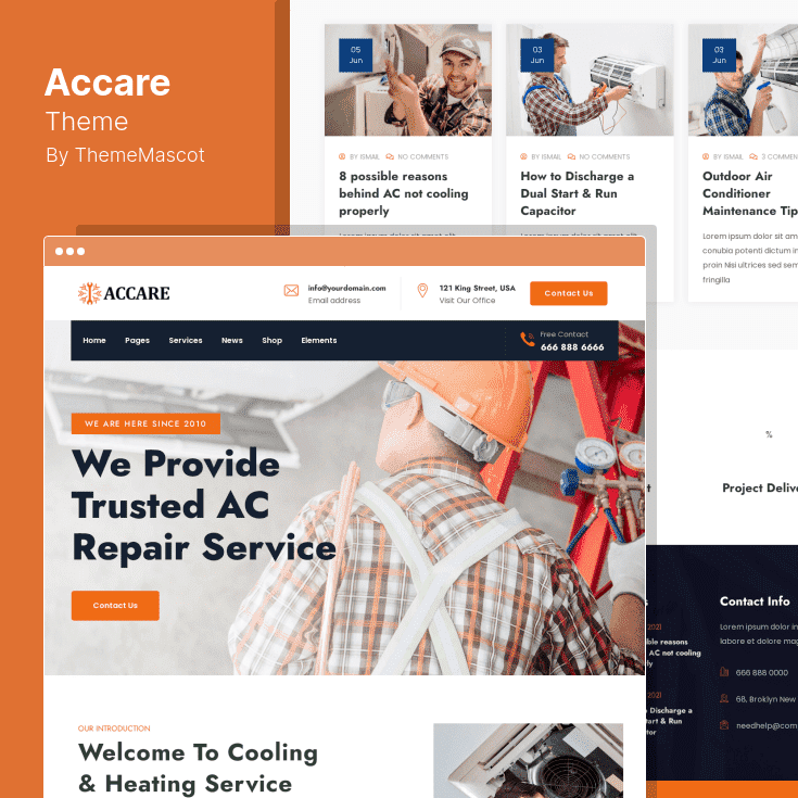 Accare WordPress Theme