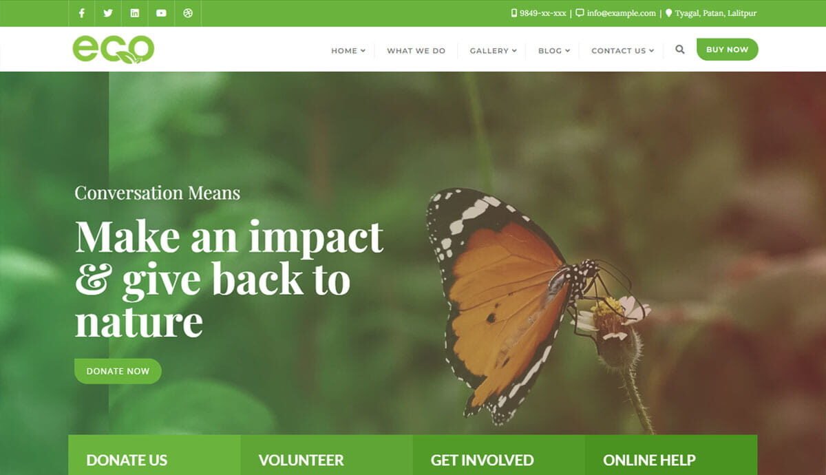 Eco Nature WordPress Theme ZamPC Icon