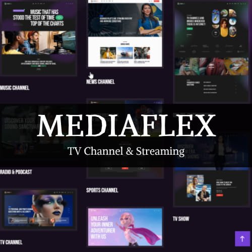MediaFlex WordPress Theme