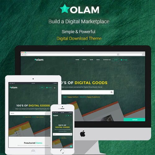 Olam WordPress Theme