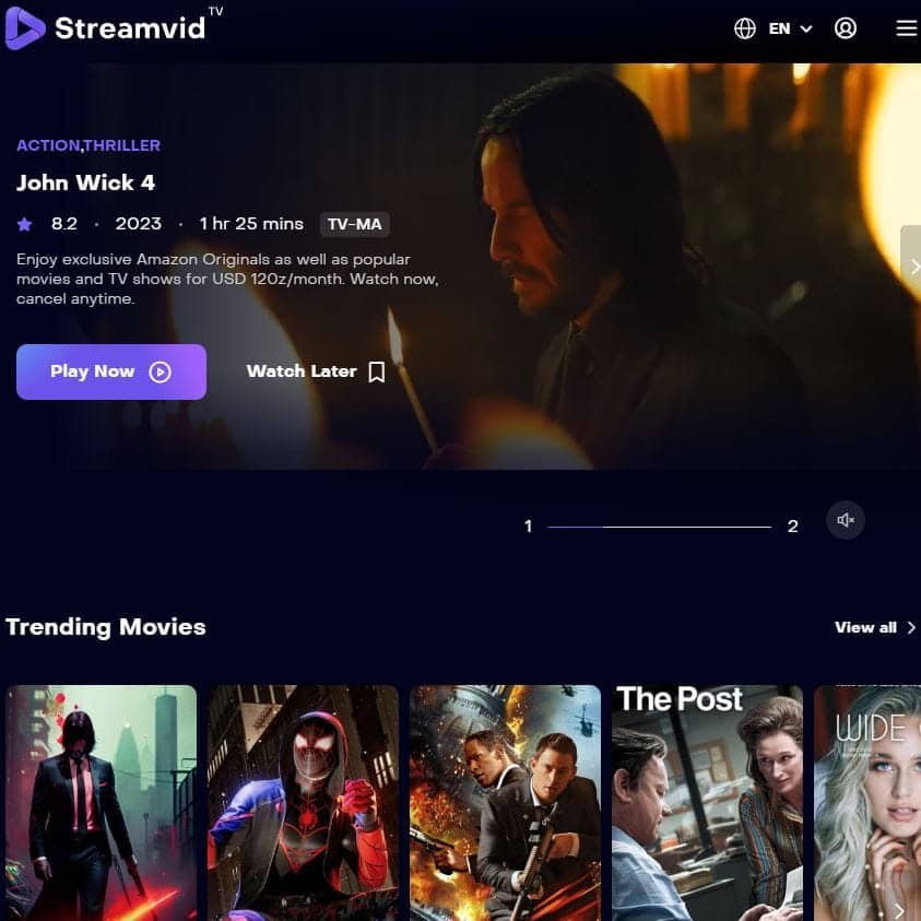 StreamVid WordPress Theme