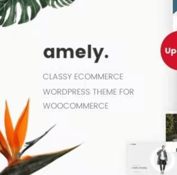 Amely Theme WordPress
