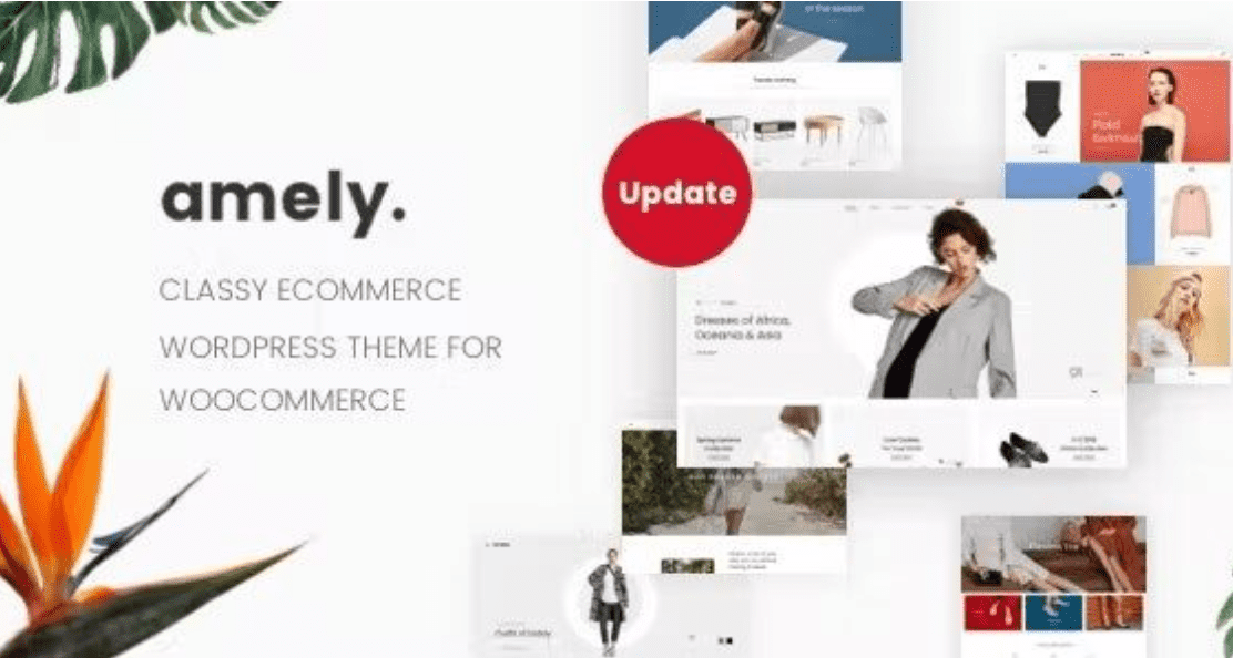 Amely Theme WordPress
