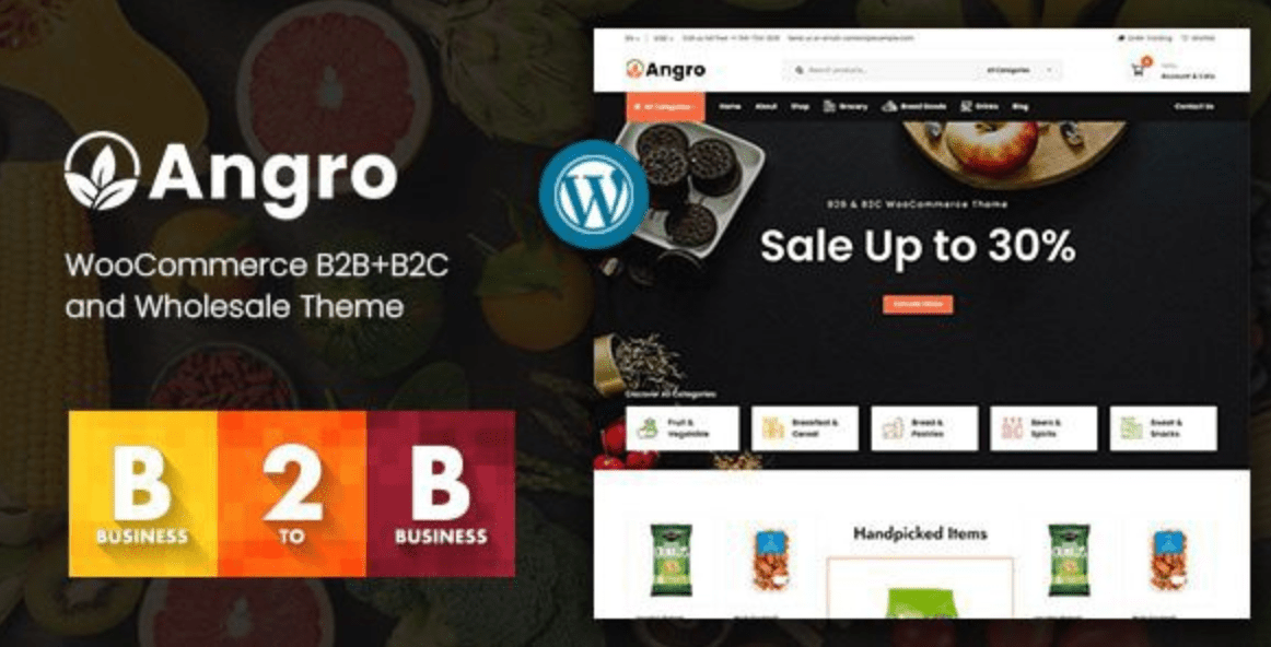 Angro Theme WordPress