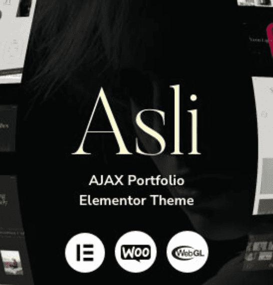 Asli Theme WordPress
