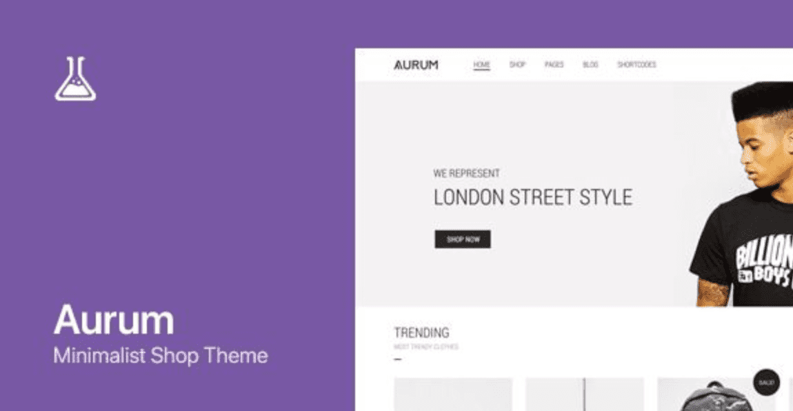 Aurum Theme WordPress
