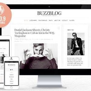 Buzz Theme WordPress