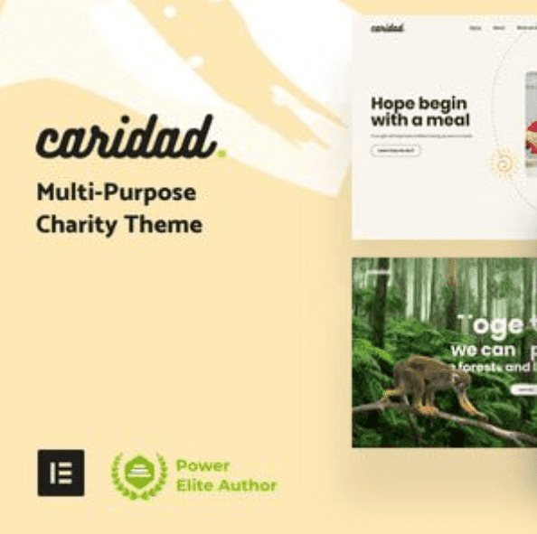 Caridad Theme WordPress
