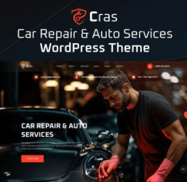Cras Theme WordPress