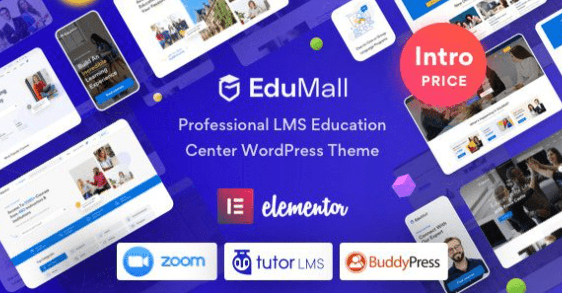 EduMall Theme WordPress