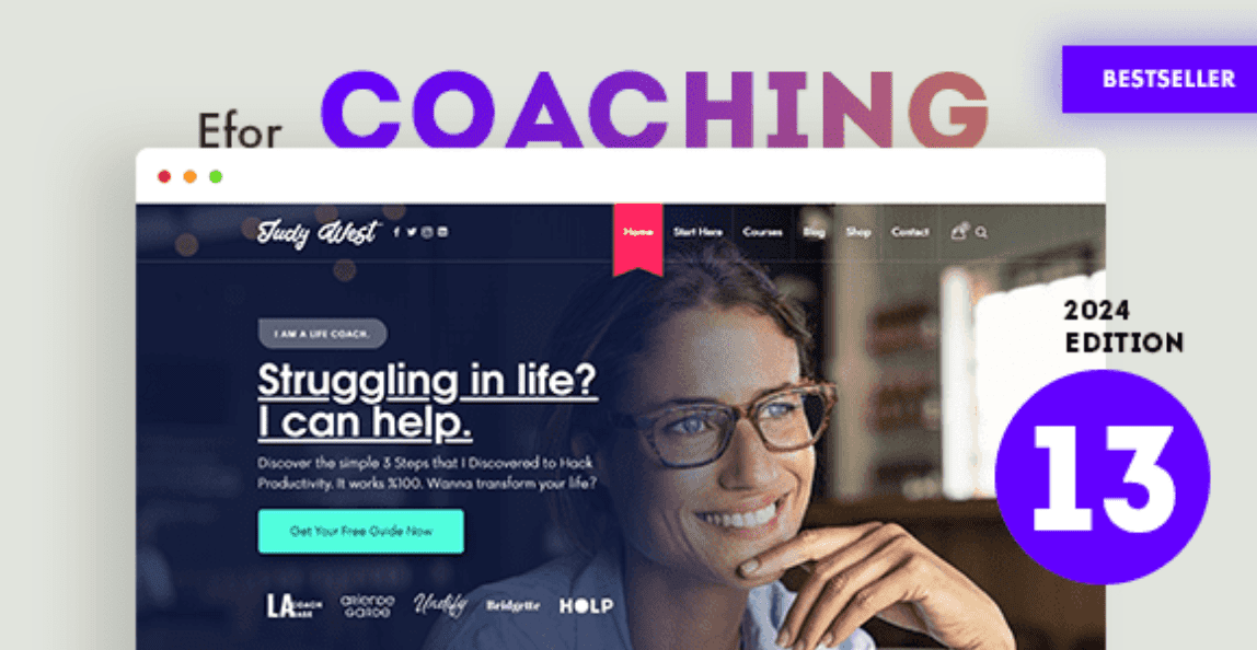 Efor Theme WordPress