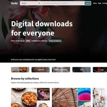 Heilz Theme WordPress