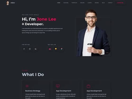 InBio Theme WordPress