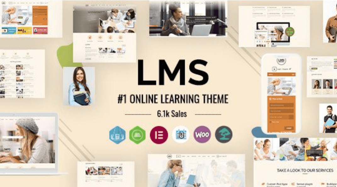 LMS Theme WordPress