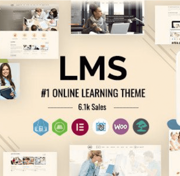 LMS Theme WordPress