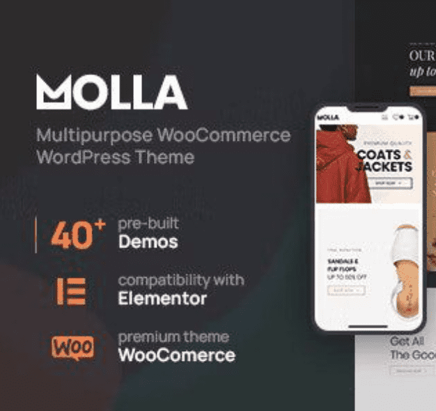 Molla Theme WordPress