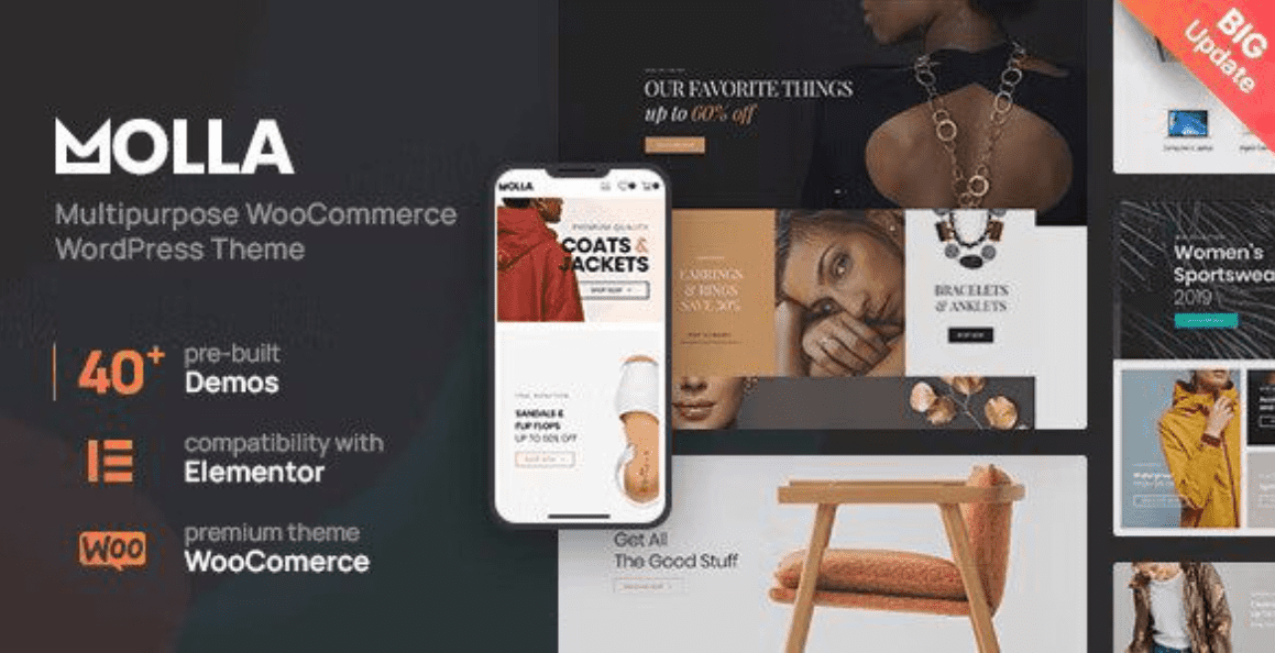 Molla Theme WordPress