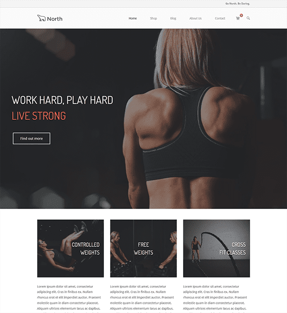 North Theme WordPress