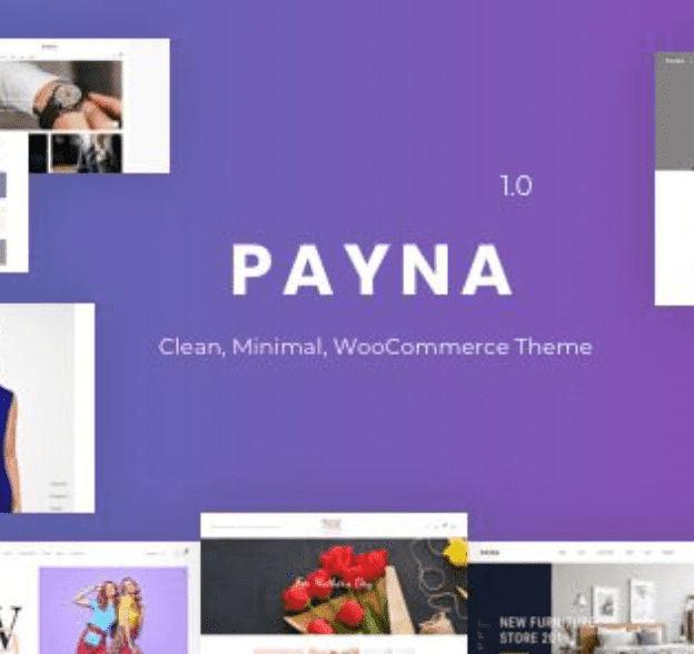 Payna Theme WordPress
