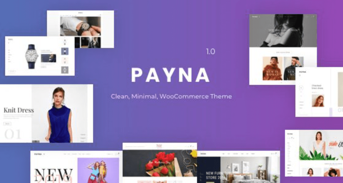 Payna Theme WordPress