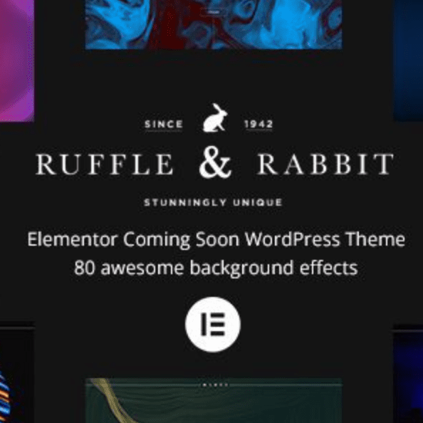 Rabbit Theme WordPress