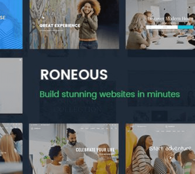 Roneous Theme WordPress