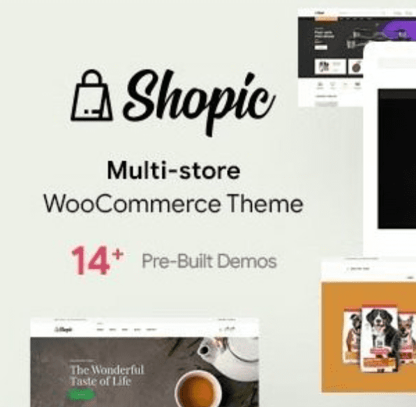 Shopic Theme WordPress
