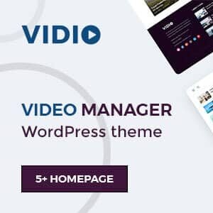 Vidio Theme WordPress