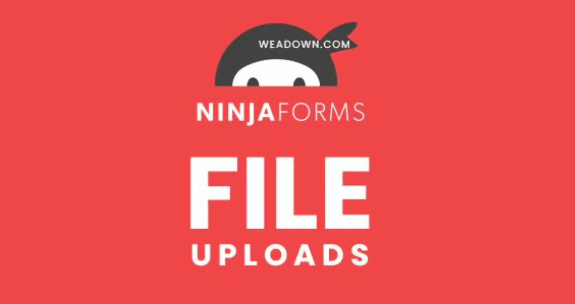 Ninja Forms File Uploads